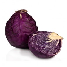 cabbage - Hortena D.O.O